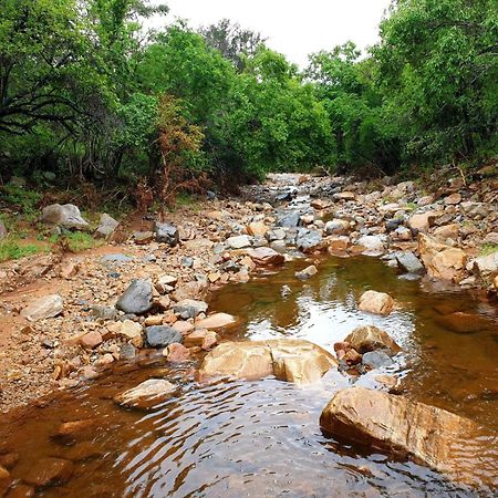 דירות ליידנבורח 66 Sharalumbi Wildlife Estate חדר תמונה