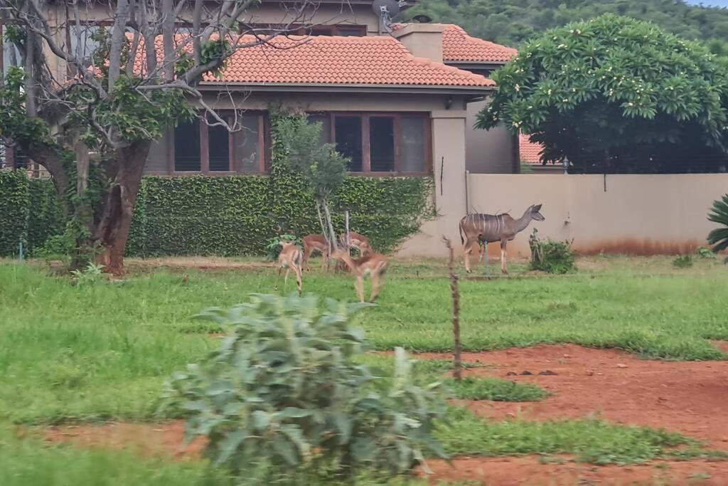 דירות ליידנבורח 66 Sharalumbi Wildlife Estate מראה חיצוני תמונה