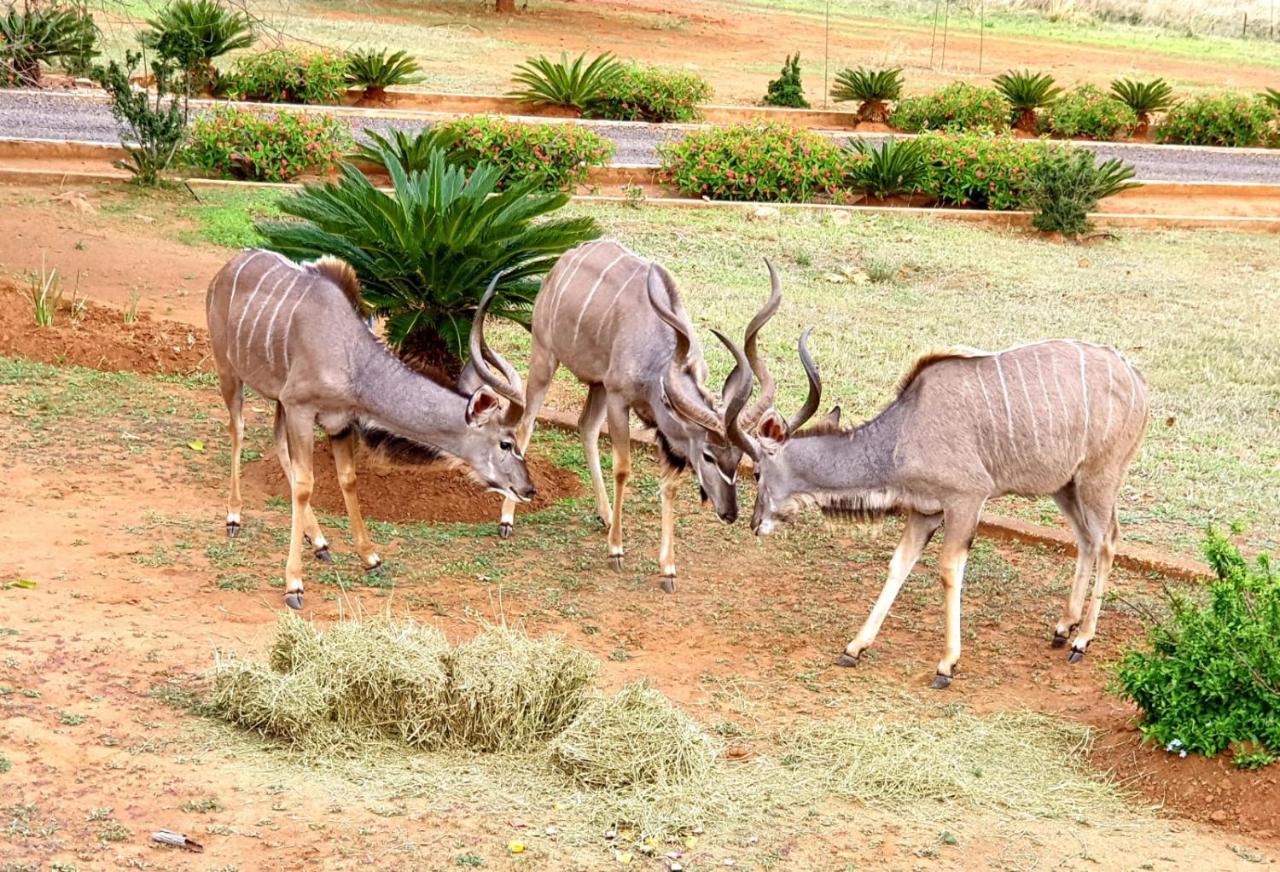 דירות ליידנבורח 66 Sharalumbi Wildlife Estate מראה חיצוני תמונה